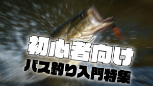 初心者向けバス釣り入門特集15本をまとめたバナー画像